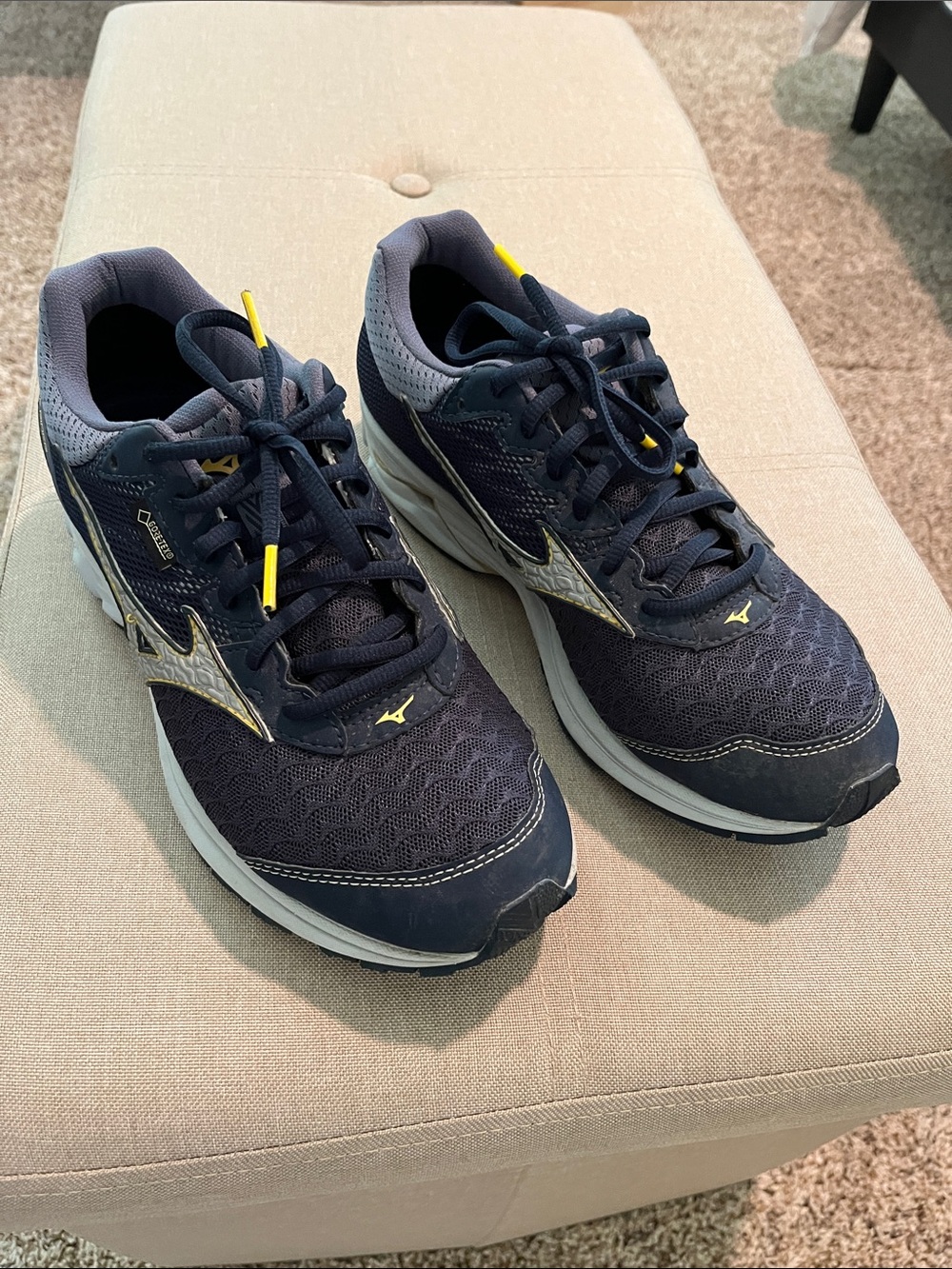 Men’s Mizuno Wave Rider 21 G-TX